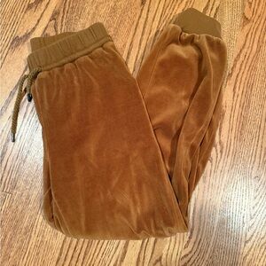 Madewell Brown Velour Jogger Pants
